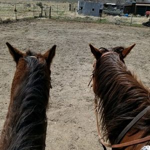 Meet your Posher, Candice